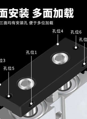 TDA/TN小型气动双轴双杆大推力气缸10/16/20/25/32/40-5X75X300S