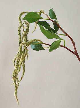 仿真品质柔丽丝 穗状花材 下垂 现风设计 商务插花花艺配材绿色