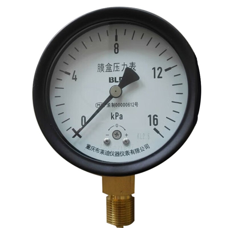 重庆布莱迪仪器仪表YT-100H膜盒压力表M20*1.5 径向水压表油压表