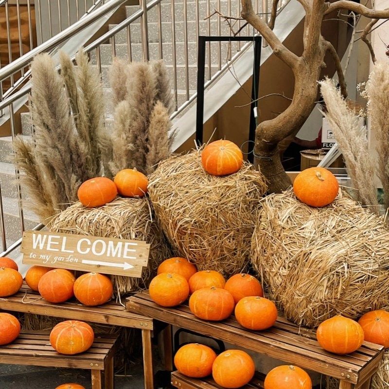 秋收装饰方形草垛秋日秋季商铺橱窗农场造景布置道具稻草围炉煮茶,节庆用品/礼品,节日装扮用品,淘宝优惠券,粉丝福利购,淘宝优惠卷