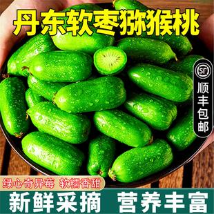 猕猴桃枣子水果软枣子圆猕猴桃迷你软枣东北莓丹东小奇异果猕猴桃