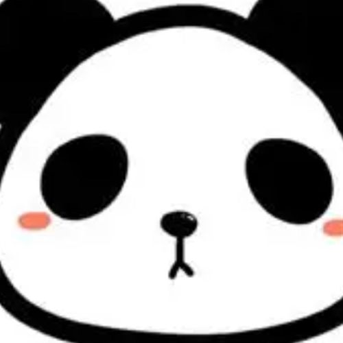 观叶绿植进口彩叶芋-下午场棚播专拍