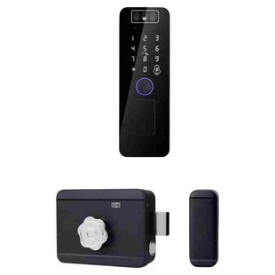 人脸识别铁闸牛头锁指纹密码刷卡老式防盗门智能电子电控锁