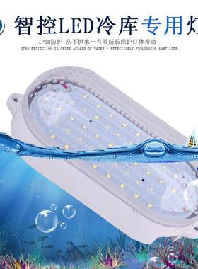 智控LED冷库冰库专用灯10W/15W防水防冻防爆灯罩耐低温浴室卫生间