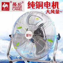 骆驼牌趴地扇纯铜线电机电风扇16/18/20寸大功率落地扇商用爬地扇