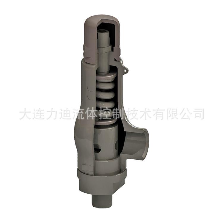 西班牙弹簧式安全阀1216C-25x25SS泄压阀