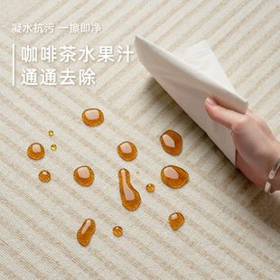 现代简约免洗可擦防水隔音 奶油风高级感地毯客厅卧室房间2025新款