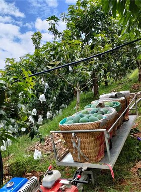 山地果园农用汽柴油发动机单轨道运输车景区工程爬山虎往返式运输