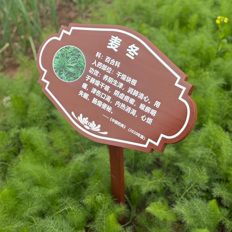 定制中草药牌简介牌植物介绍牌插地牌花卉品种牌树木名牌科普牌