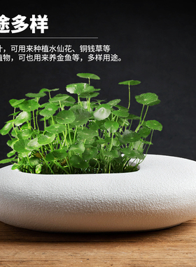 创意铜钱草花盆无孔水培睡莲碗莲绿萝水养植物容器家居装饰小摆件