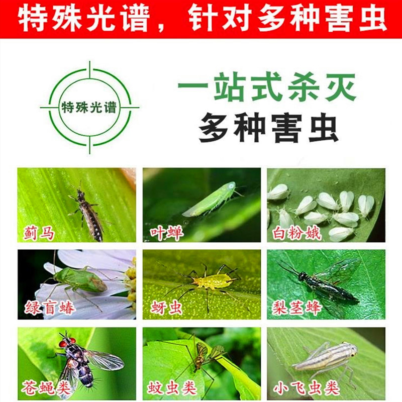 双面粘虫板诱虫板黄色杀沾果蝇针蜂粘板灭小飞虫蓝板蓟马大棚果园
