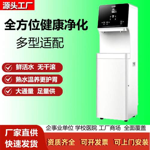 碧丽商用直饮机智能客厅端饮水机净水器设备K-LV9家用饮水机