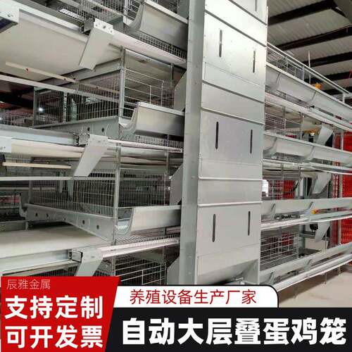 养殖场家禽大层叠式蛋鸡笼智能全自动集蛋供水恒温养鸡养殖设备
