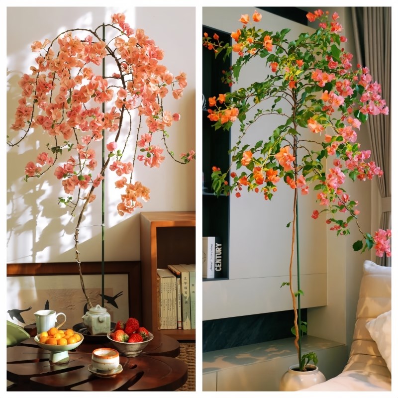 三角梅高飘支撑杆月季爬藤架子花架固定器绿植物防倒伏花卉支撑架