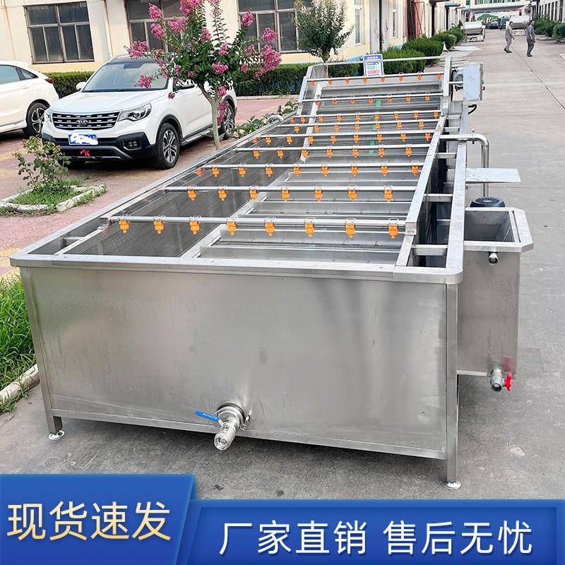 大型毛豆高压清洗设备果蔬清洗风干线全自动气泡清洗机食品机械