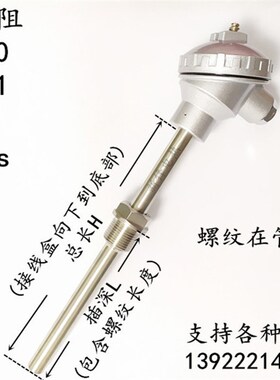 T铂热电阻WZ22螺纹安装感温棒温度探头温度传感器