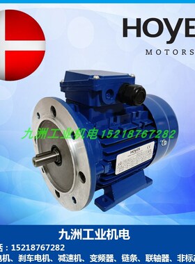 霍尔HOYE电机M2 7 2 9L L M 2M马达 极