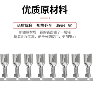 2...带锁横带冷压接线端插拔式 端头线耳 插簧端子母式