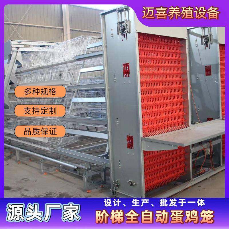 阶梯全自动化蛋鸡笼三层四门白槽专业养鸡设备养殖场自动捡蛋,畜牧/养殖物资,特种养殖设备,淘宝优惠券,粉丝福利购,淘宝优惠卷