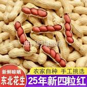 带壳生花生 晒干发货生花生带壳晒干 产地带壳