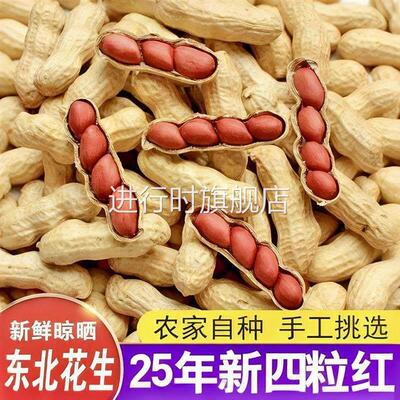 带壳生花生 产地带壳 晒干发货生花生带壳晒干