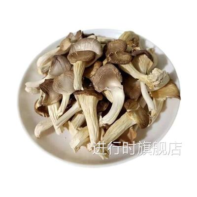 新货秀珍菇蘑菇250g500g干秀珍菇食用菌干 干干 干货片煲汤火锅菌