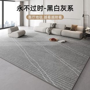 轻奢高级感免洗可擦家用卧室地垫房间防水茶几毯 地毯客厅2024新款