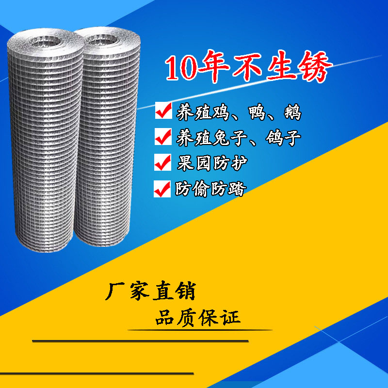镀锌铁丝网围栏养殖网电焊网防护网鸡鸭鹅鸽兔养殖防锈小孔家用