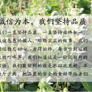 野生中药材正品白花丹参特级中年中草药山东正宗无硫磺批发价山东