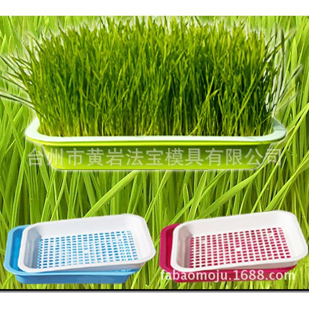育苗盘芽苗菜育苗盘种植盘双层家用芽菜盘无土栽培小麦草盘模具