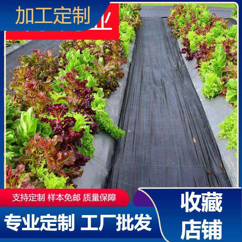 黑生态防草布降解农用果园果树除草地膜防草布除草布园艺地布