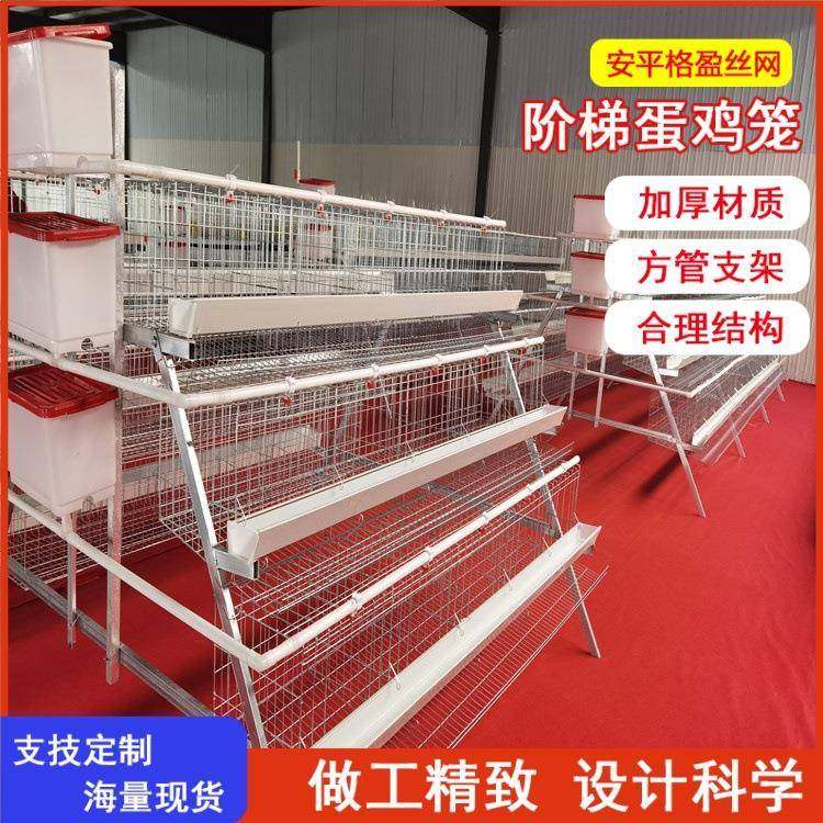 三层五门蛋鸡笼阶梯式自动喂料清粪镀锌鸡笼可出口,畜牧/养殖物资,特种养殖设备,淘宝优惠券,粉丝福利购,淘宝优惠卷