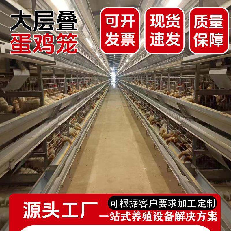 大层叠蛋鸡笼全自动养殖笼具三层四层热镀锌鸡笼养殖设备捡蛋设备,畜牧/养殖物资,特种养殖设备,淘宝优惠券,粉丝福利购,淘宝优惠卷