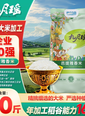 九月瑶芭堤雅香米20斤南方大米泰式风味香米炒饭南方大米当季新米