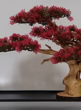 创意家居客栈酒店餐厅茶室造微景观盆景摆设枯木仿真植物松树