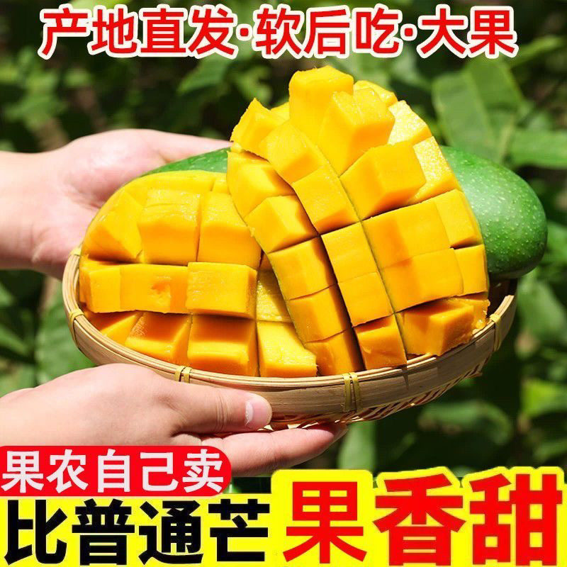 当季新鲜正宗特大青芒果5斤