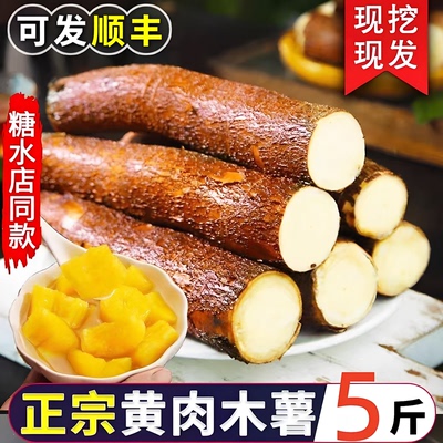 正宗广西黄心木薯现挖现发面包番薯粉糯餐饮商用新鲜黄肉木薯顺丰
