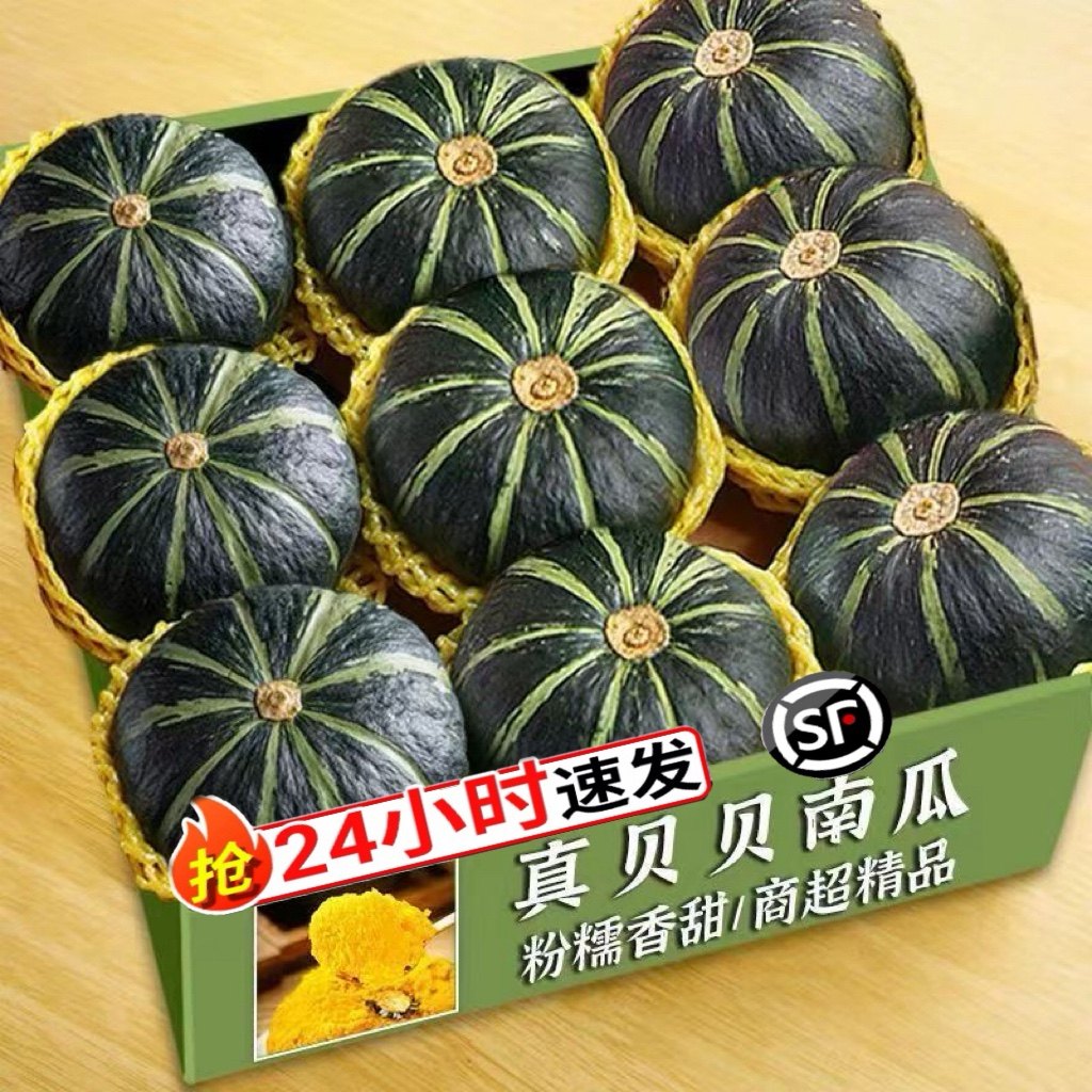 正宗贝贝南瓜现摘板栗小南瓜婴儿宝宝辅食粉糯香甜老南瓜顺丰9斤