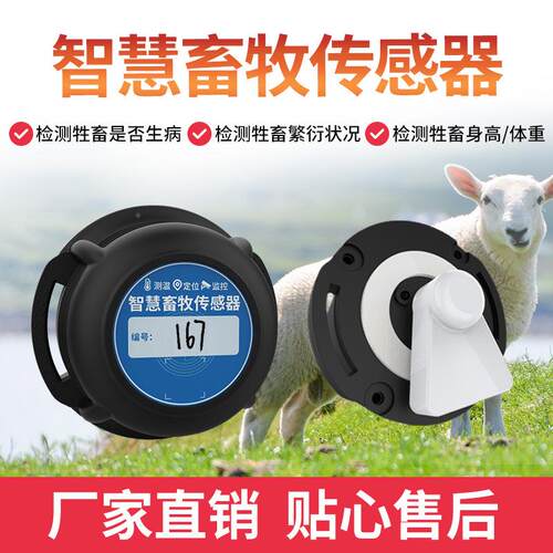 猪牛羊电定子标JXBS-300测温位RF耳ID耳识别智慧畜牧传感器行为分