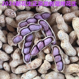 2025新正宗福建龙岩连城四粒红紫衣花生红衣咸水煮晒干 干湿烤五