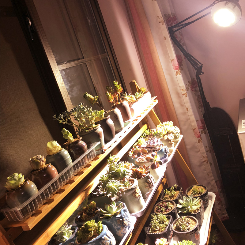 多肉补光灯 家用植物生长灯全光谱LED仿太阳室蔬菜水草花卉灯落地