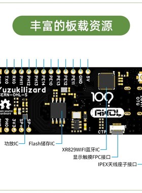 柚木I韦东山高性能嵌入式Linu I发板 自带NU算力 芯片