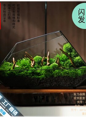 雨林缸苔藓微景观几何玻璃器皿罩盒子家居摆件微缩森林造景花盆器