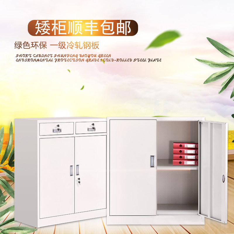 金华钢制办公室铁皮文件柜矮柜书柜资料带锁凭证案员工更子