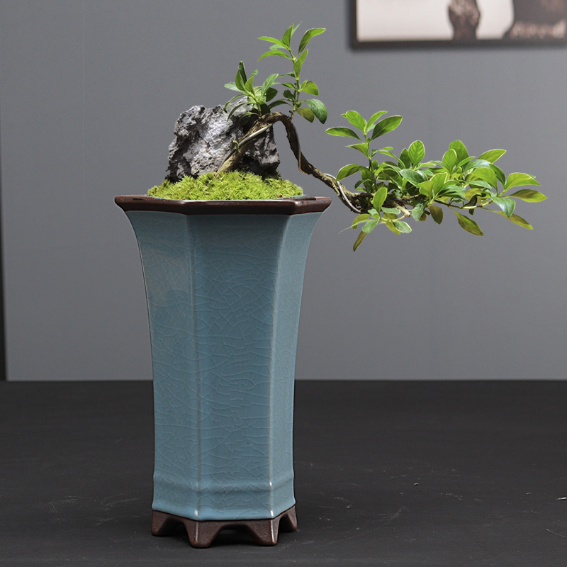 简约紫砂盆六方兰花盆花卉绿植物盆栽大号手工花盆悬崖老桩盆栽盆