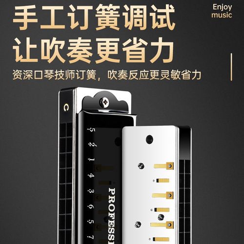 天鹅口琴2孔调复音初学者学生儿童入门2孔重音演奏口琴