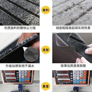 地垫入户h门垫门口进门家用吸水防滑耐脏垫子加厚高级感大门 新款