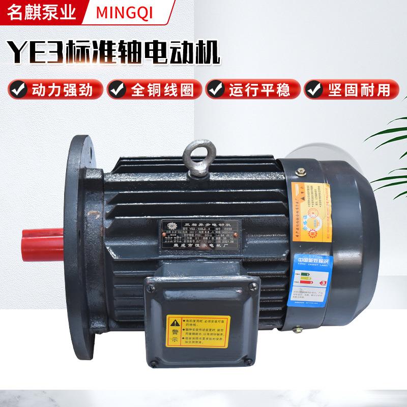 现货YE3标准轴电机三相机械异步电机转角轴减速机可配变频电动机