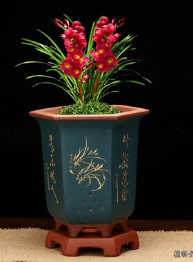 紫砂兰花盆大号粉浆六方