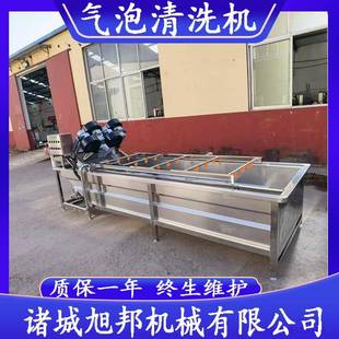 柑橘气泡清洗机 连续喷淋式百香果洗泥机 龙门提升式果蔬清洗设备